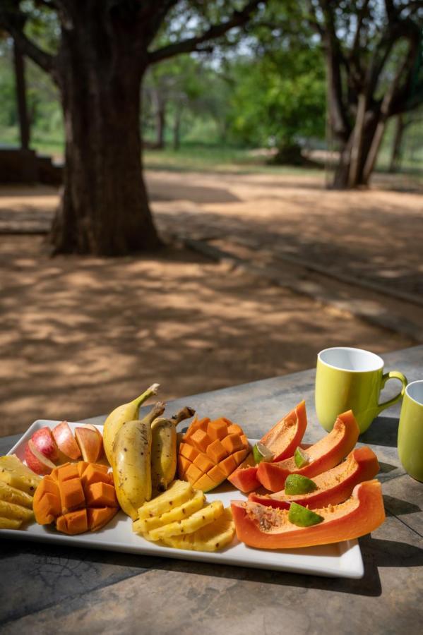 Hide Yala Acomodação com café da manhã Tissamaharama Exterior foto